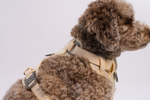 RIFRUF Commuter Harness - Bone