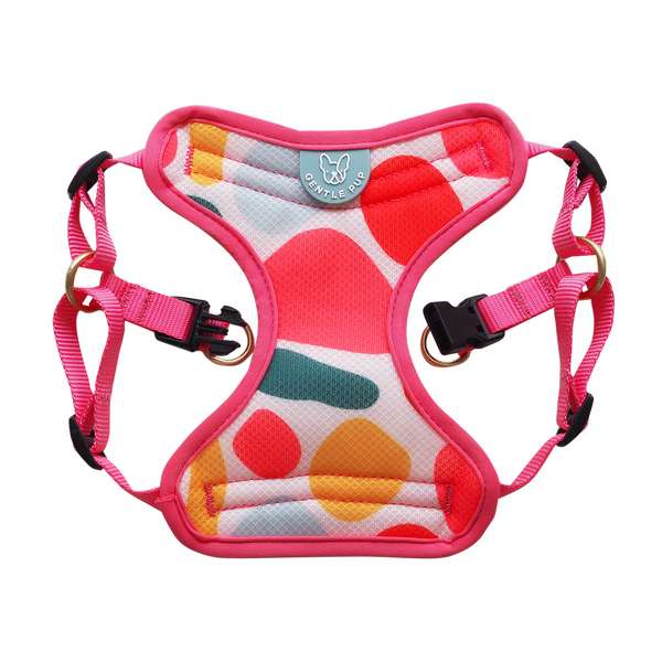 Gentle Pup Easy Harness - Candy Callie