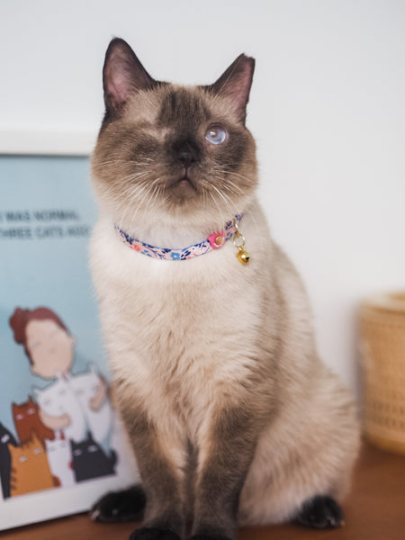 Gentle Purr Cat Collar - Molly Meadows