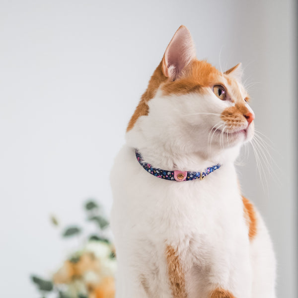 Gentle Purr Cat Collar - Forest Joy