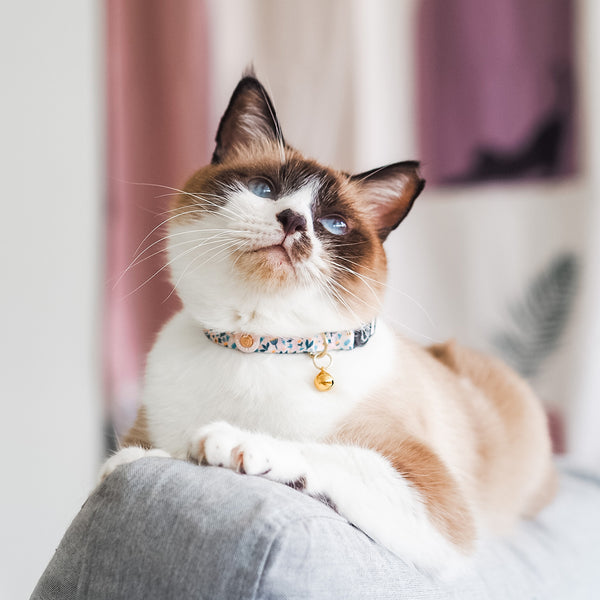 Gentle Purr Cat Collar - Scandi Spring