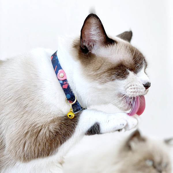 Gentle Purr Cat Collar - Playful Polly