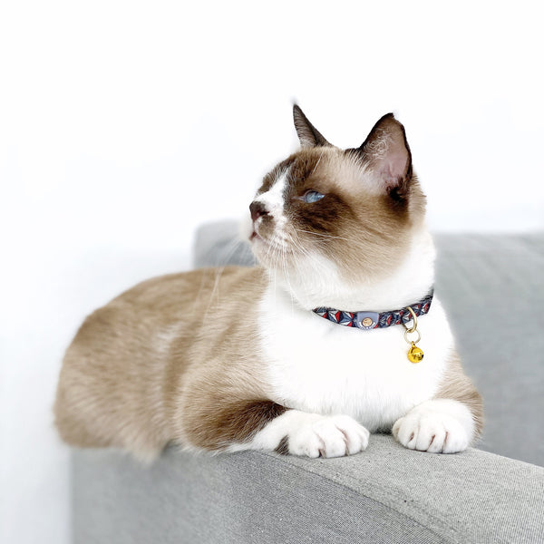 Gentle Purr Cat Collar - Dashing Diamond