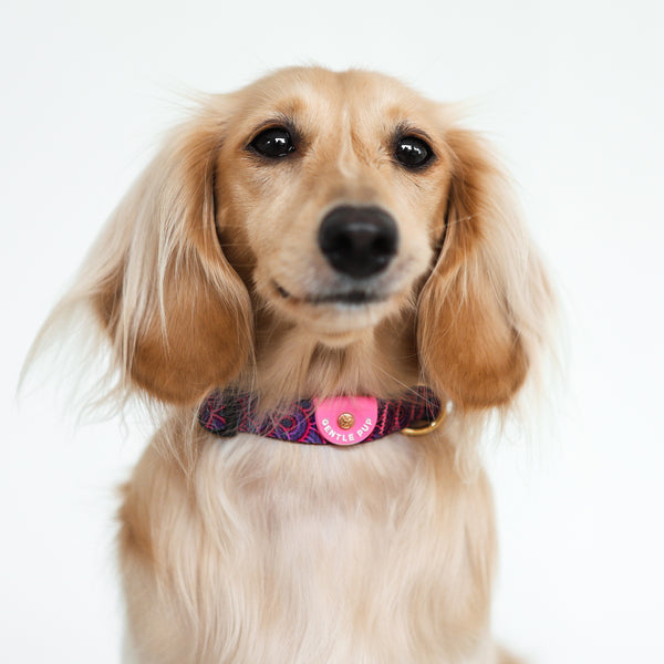 Gentle Pup Dog Collar - Piper Pink