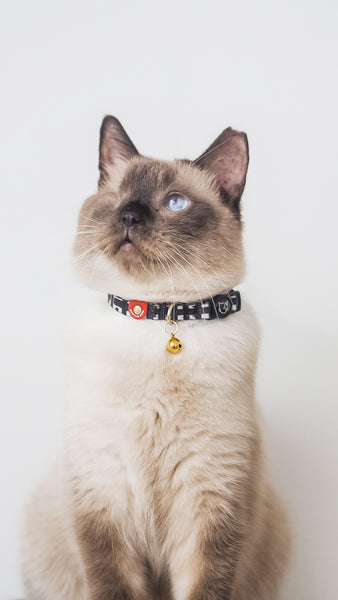 Gentle Purr Cat Collar - Lucky Lotto
