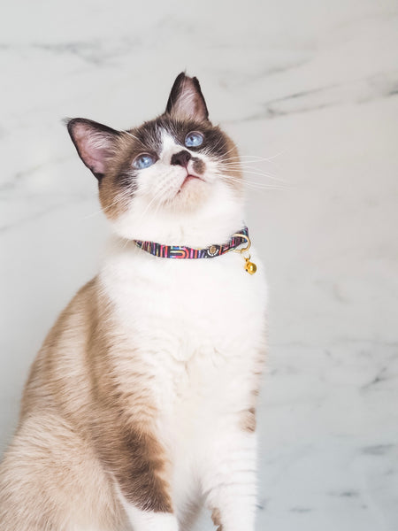 Gentle Purr Cat Collar - Rainbow Maze