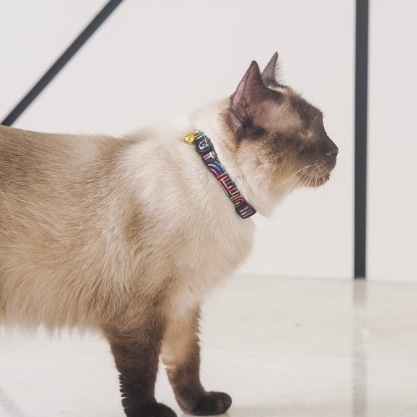 Gentle Purr Cat Collar - Rainbow Maze