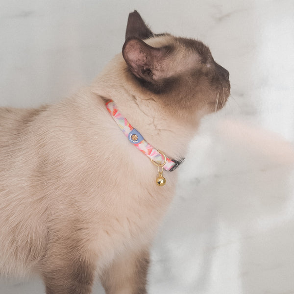 Gentle Purr Cat Collar - After the Rain