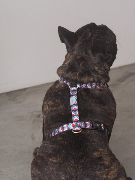 Gentle Pup Maxi Harness - Dashing Diamond