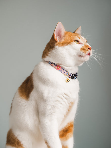 Gentle Purr Cat Collar - Molly Meadows