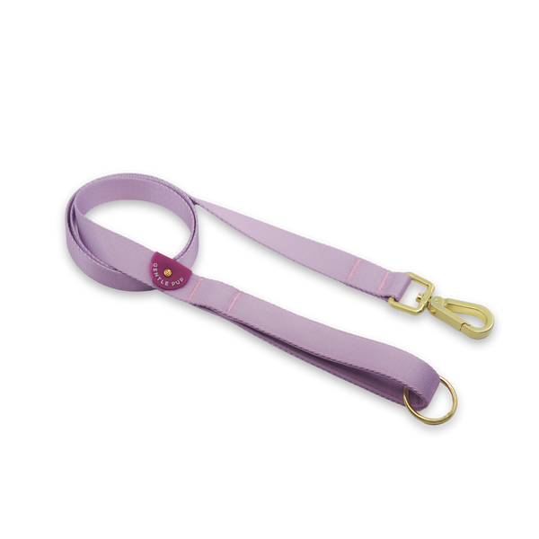 Gentle Pup Leash - Taro