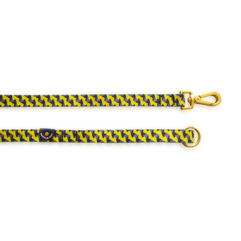 Gentle Pup Leash - Zippy Zag