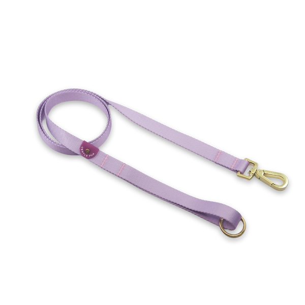 Gentle Pup Leash - Taro
