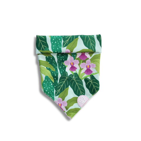 Gentle Pup Bandana - Little Miss Vanda