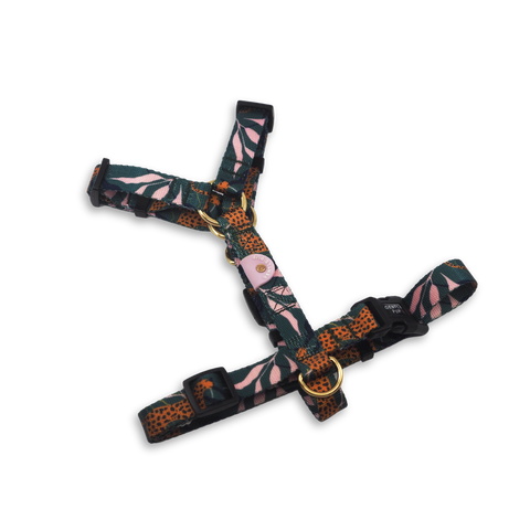 Gentle Pup Maxi Harness - Coco Congo