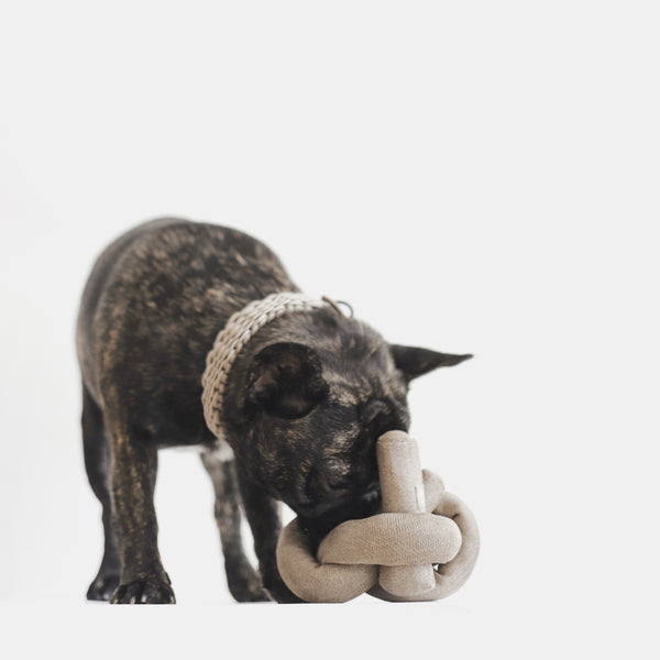 Lambwolf Dog Toy - Nounou