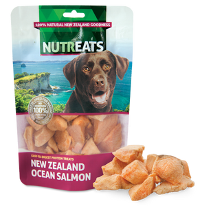 Nutreats Freeze Dried Ocean Salmon for Dogs