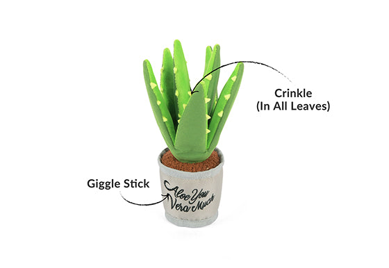 P.L.A.Y. Blooming Buddies Dog Toys - Aloe-ve You Plant
