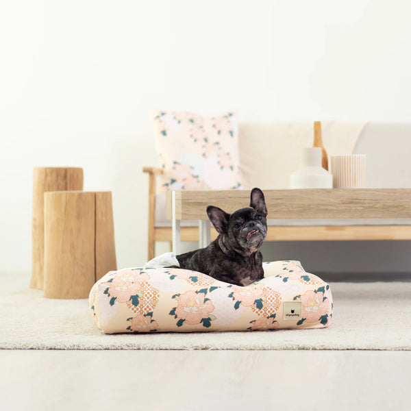 Ohpopdog Pillow Bed - Botan