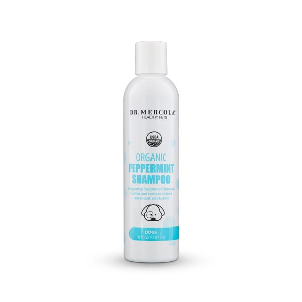 Dr Mercola Organic Peppermint Shampoo for Dogs