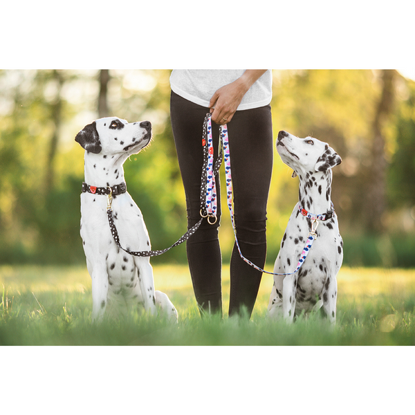 Gentle Pup Leash - Cheeky Chip