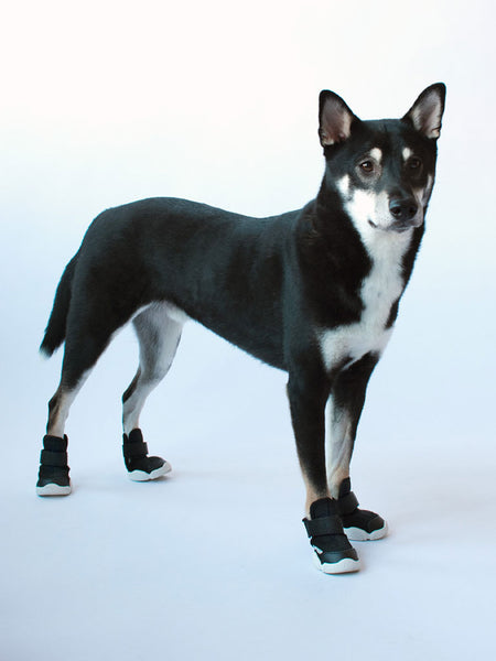 RIFRUF Dog Shoes | Caesar 1 Black